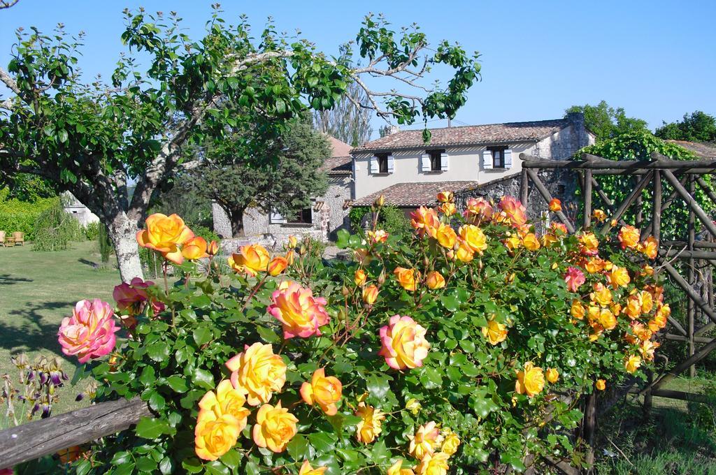Luxury B&B Maison à votre Santé, in Bordeaux wine region Savignac-de-Duras Esterno foto